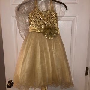 Sequined and Sparkly Tulle Party Dress